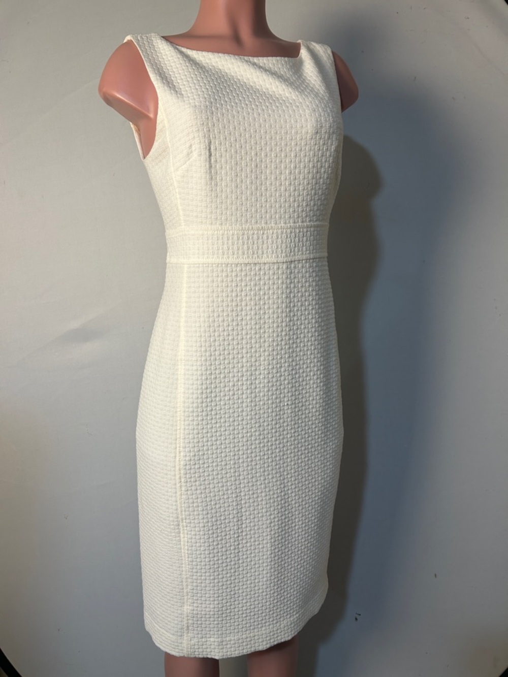 Ann Taylor PetiteSheath Dress Sleeveless Lined Size 10 NWT. $139.00